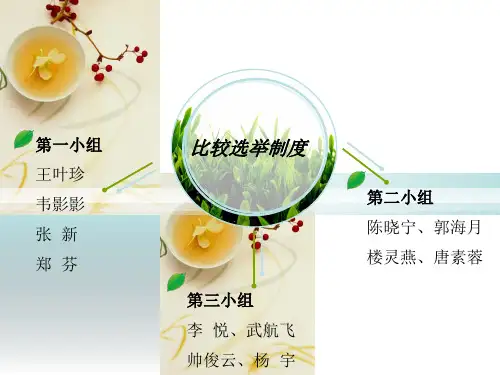 比较选举制度