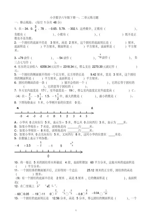 2021人教版小学数学六年级下册单元复习测试题全册