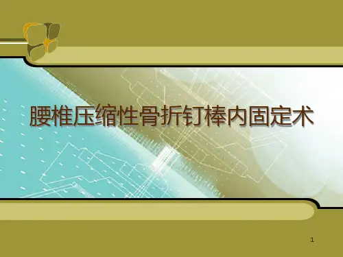 腰椎骨折钉棒内固定术精品PPT课件
