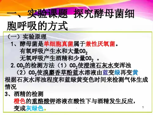 细胞呼吸的实验