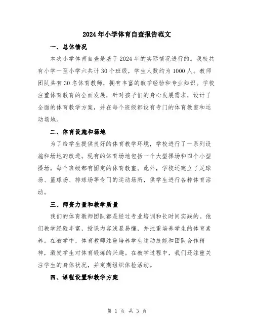 2024年小学体育自查报告范文