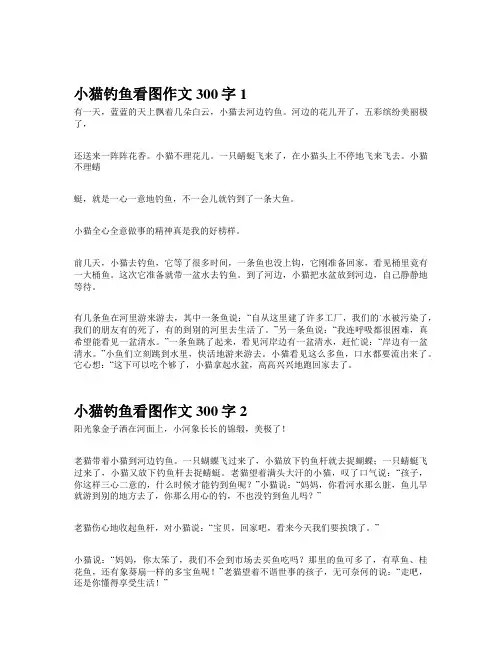 小猫钓鱼看图作文300字