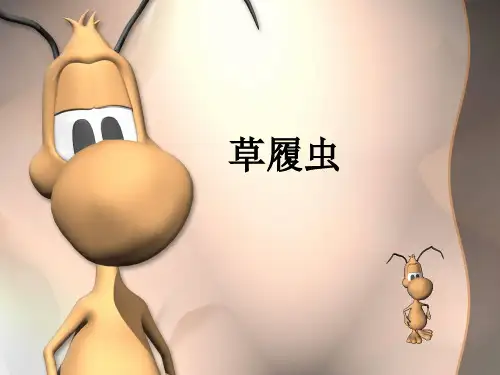 沪教版生物八年级第二册 4.2.6 原生动物-草履虫 课件