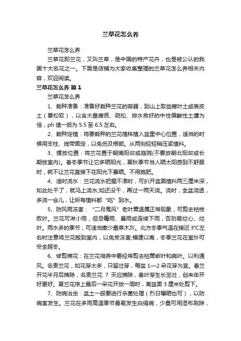 兰草花怎么养