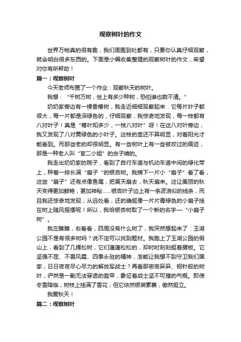 观察树叶的作文8篇例文