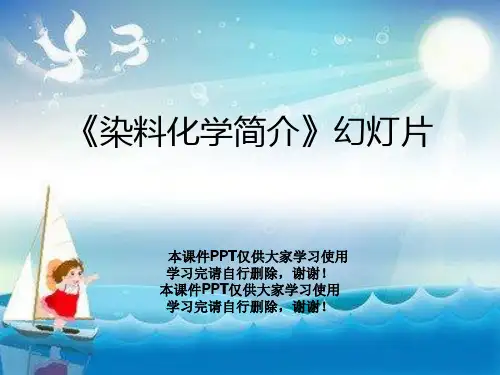 《染料化学简介》幻灯片