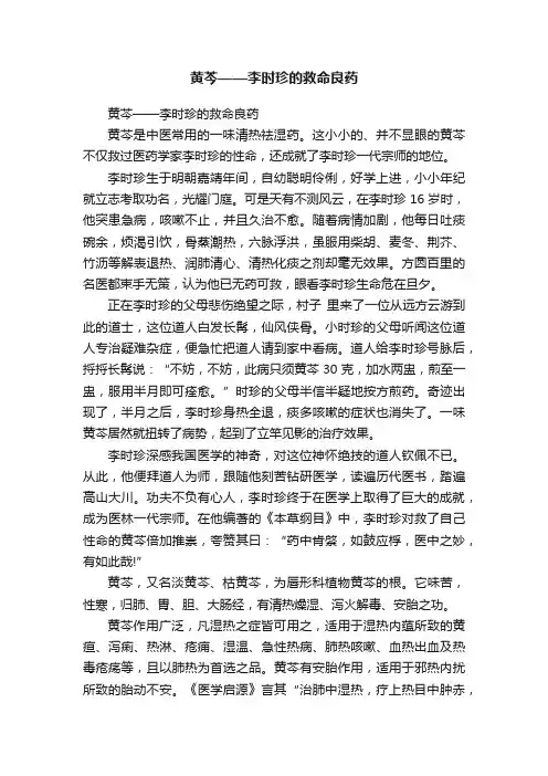 ?黄芩——李时珍的救命良药
