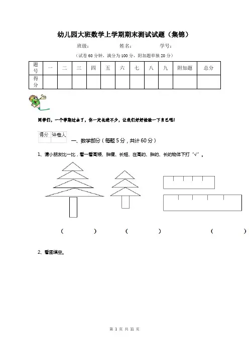 幼儿园大班数学上学期期末测试试题(集锦)