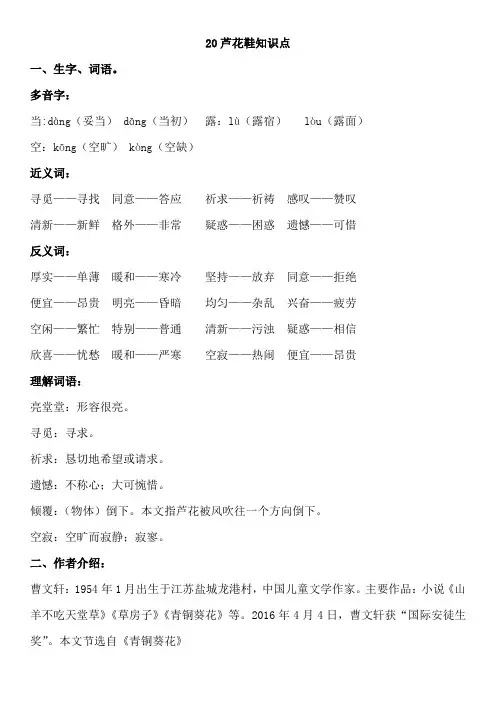 20芦花鞋知识点