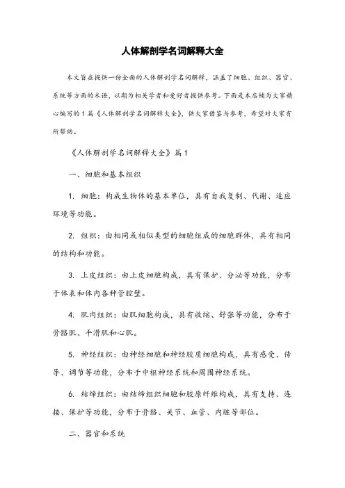 人体解剖学名词解释大全