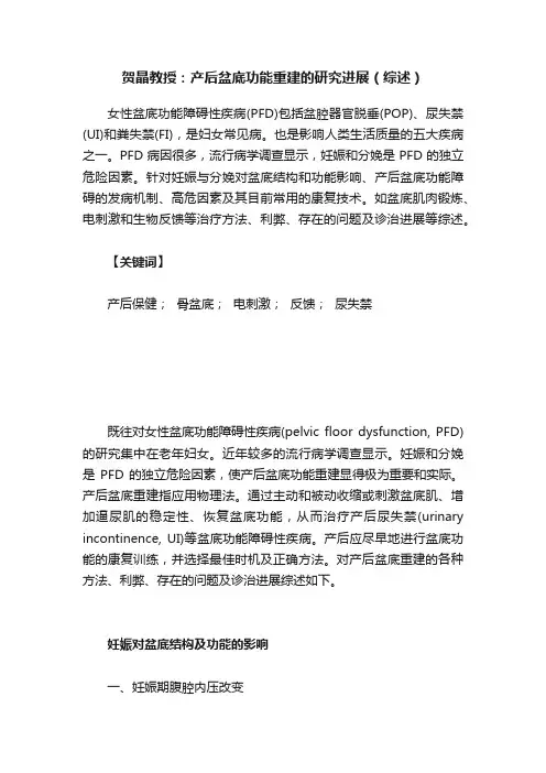 贺晶教授：产后盆底功能重建的研究进展（综述）