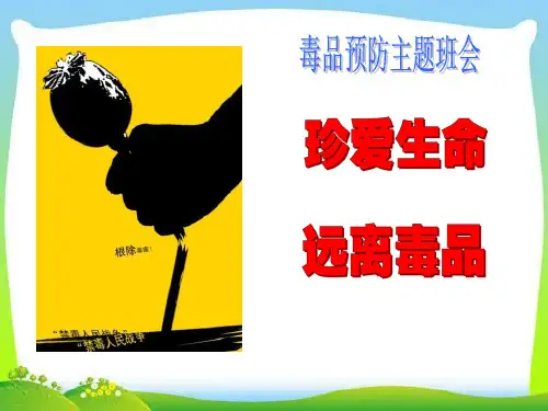 《珍爱生命 远离毒品》PPT(完美版)