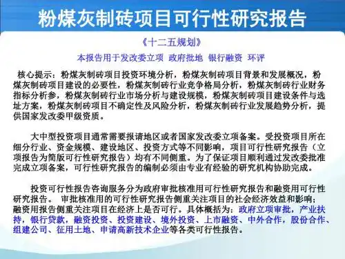pAAA粉煤灰制砖项目可行性研究报告