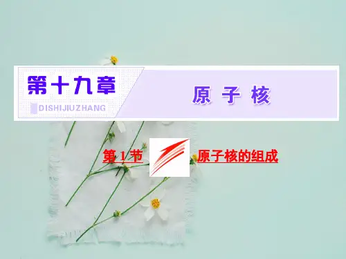 物理选修3-519.1《原子核的组成》ppt课件