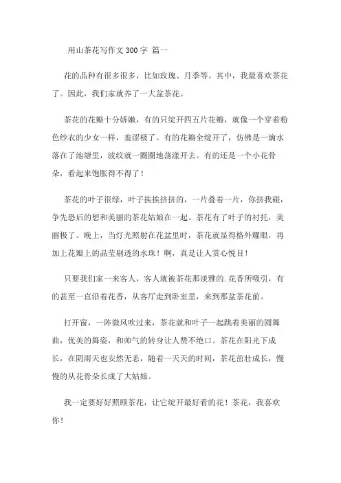 用山茶花写作文300字