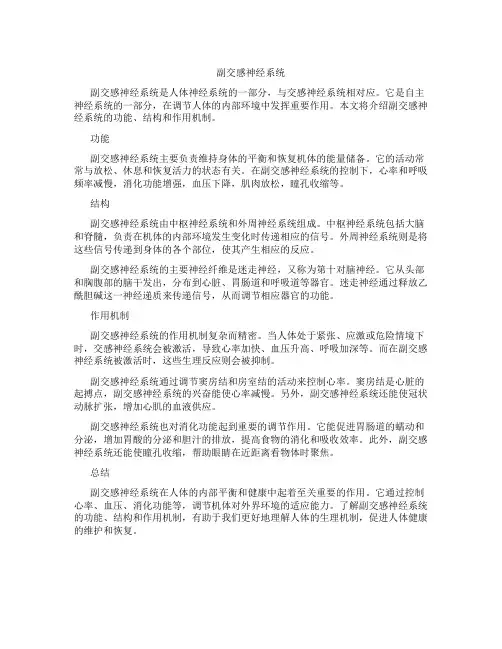 副交感神经系统