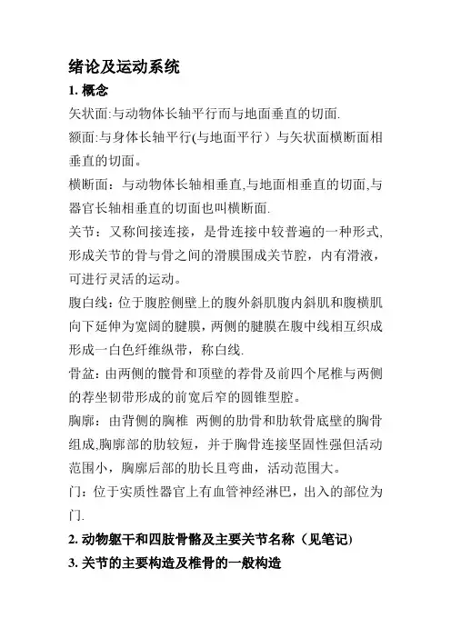 动物解剖学