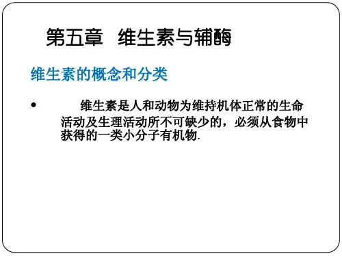 生物化学维生素与辅酶