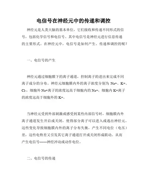 电信号在神经元中的传递和调控