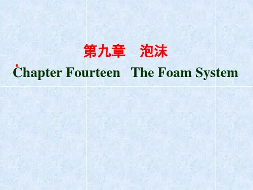 第9章_泡沫