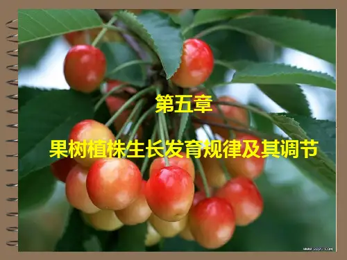 果树生长发育