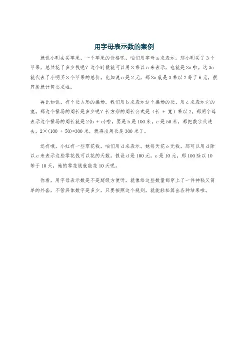 用字母表示数的案例