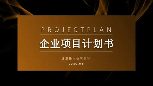 企业项目计划书PPT