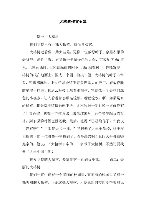 大榕树作文五篇