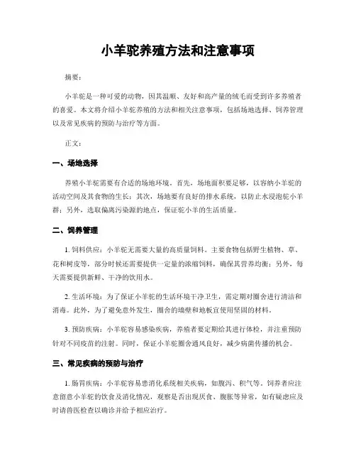 小羊驼养殖方法和注意事项