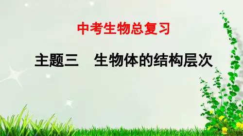 北京中考生物总复习——第04课时 显微镜的结构、功能和使用