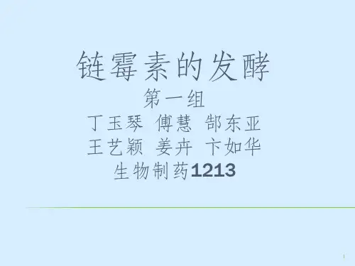 链霉素生产