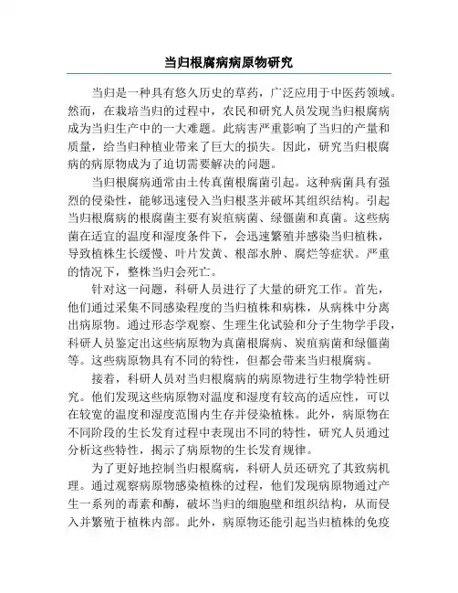 当归根腐病病原物研究