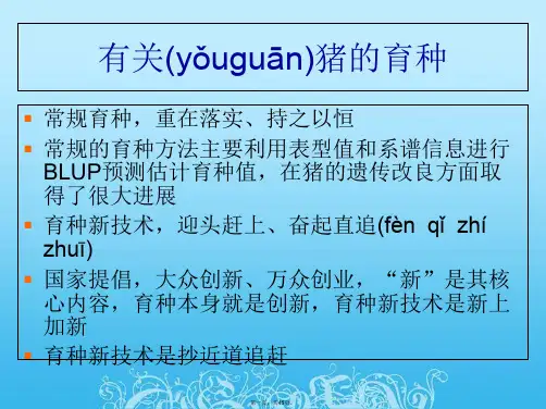 猪育种新技术