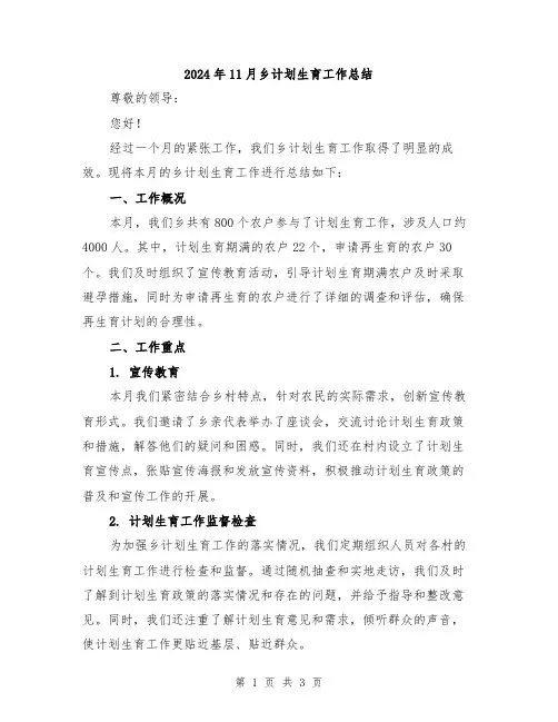 2024年11月乡计划生育工作总结