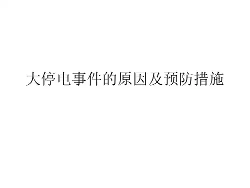 大停电事件的原因及预防措施