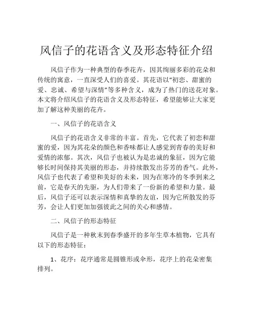 风信子的花语含义及形态特征介绍