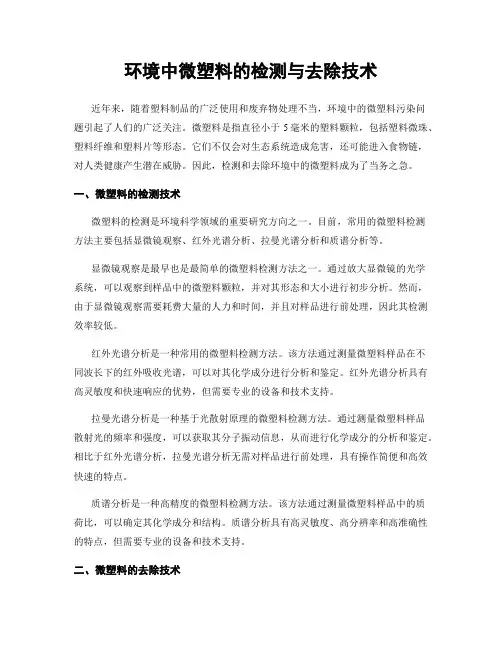 环境中微塑料的检测与去除技术