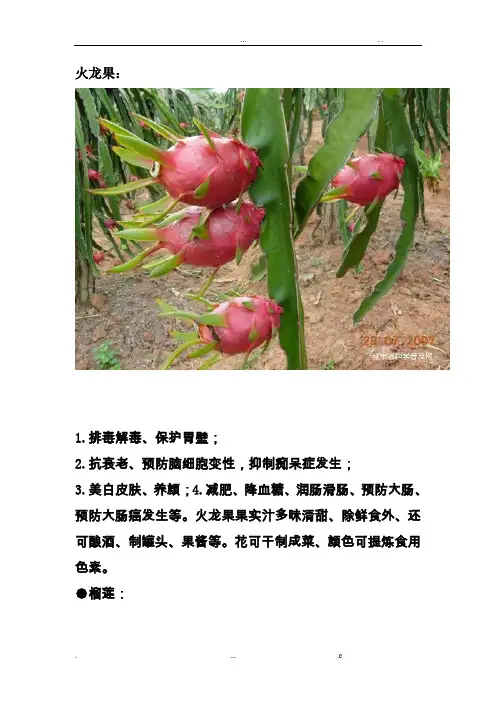 各种水果功效带图