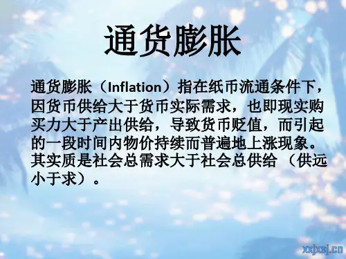《通货膨胀》PPT课件