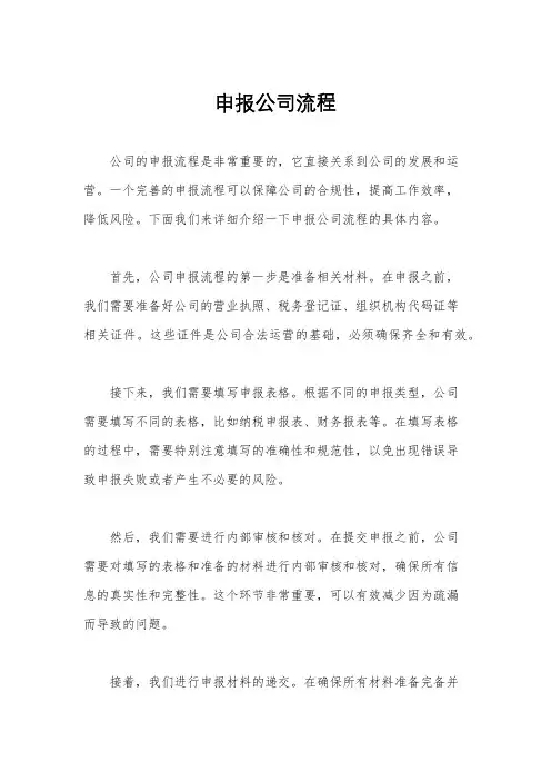 申报公司流程