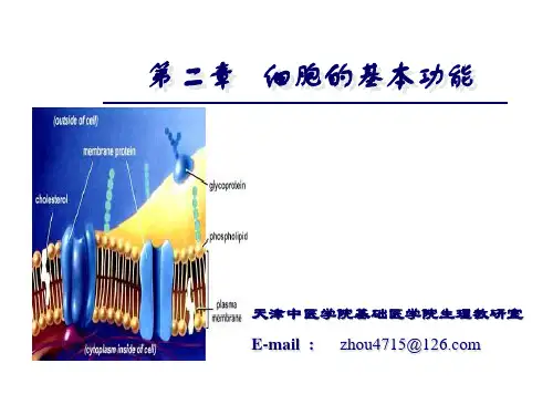 细胞的生物电现象