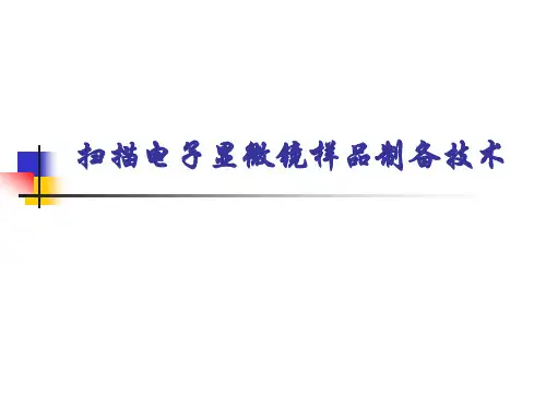 扫描电镜样品制备生物技术