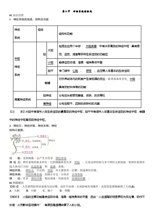 人教版生物七年级下册 第六章 人体生命活动的调节 第二节 神经系统的组成 同步练习 (word版