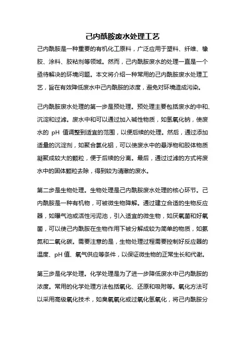 己内酰胺废水处理工艺