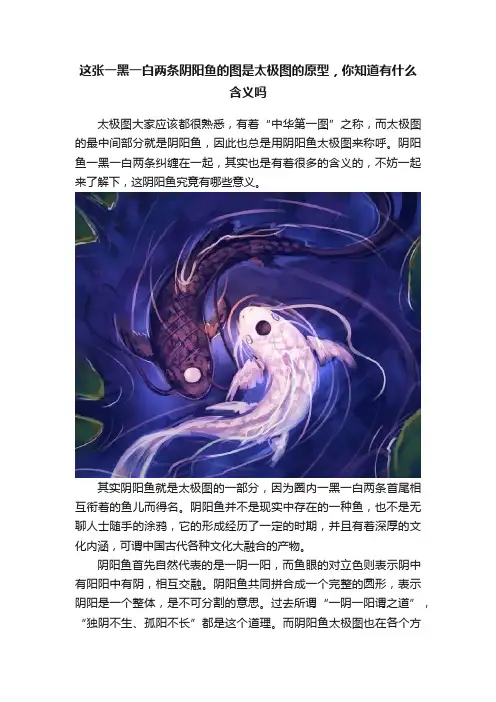 这张一黑一白两条阴阳鱼的图是太极图的原型，你知道有什么含义吗