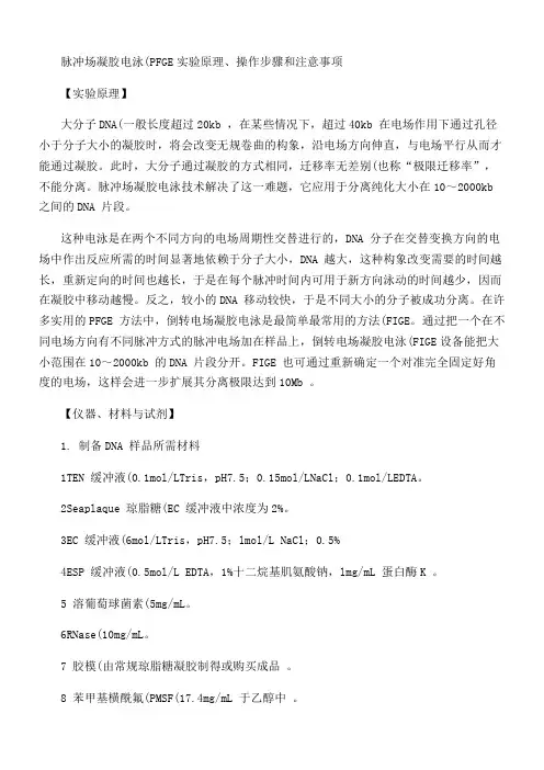 脉冲场凝胶电泳.