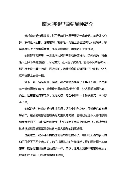 南太湖特早葡萄品种简介