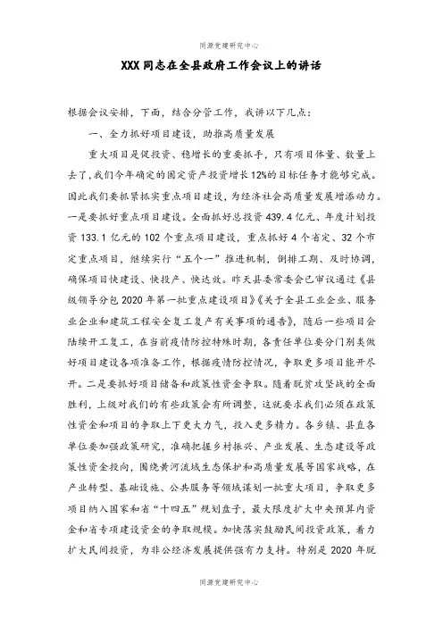 XXX同志在全县政府工作会议上的讲话 (3)