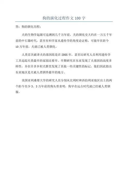 狗的演化过程作文100字