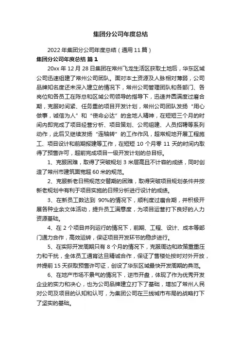 集团分公司年度总结